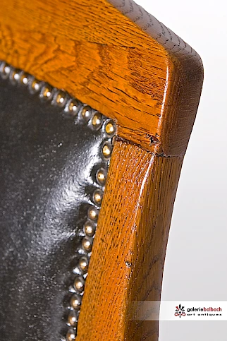 Leder mit Ziernagel