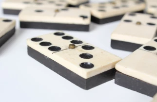 Domino Stein