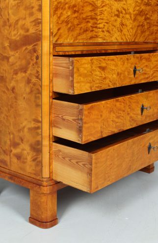 Carpenter restorer