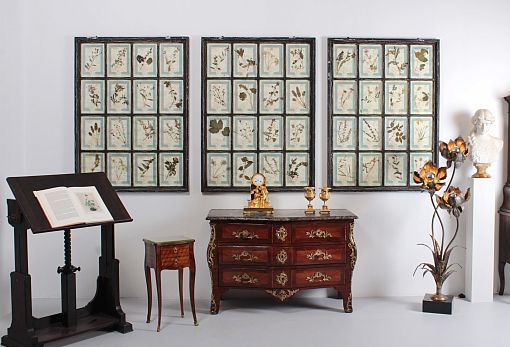 Vintage herbarium, antique plant collection, plant study - Italy
Wood, Paper
20th century