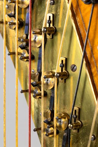 Strings harp erard