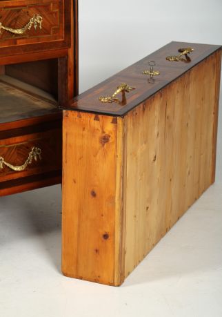 Denti a coda di rondine