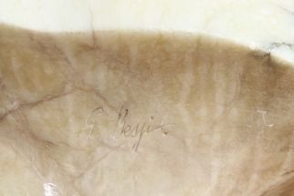 Giuseppe Bessi Volterra Italien